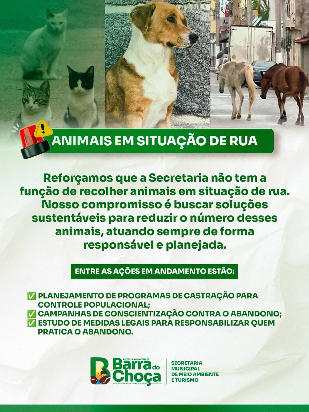Banner informativo