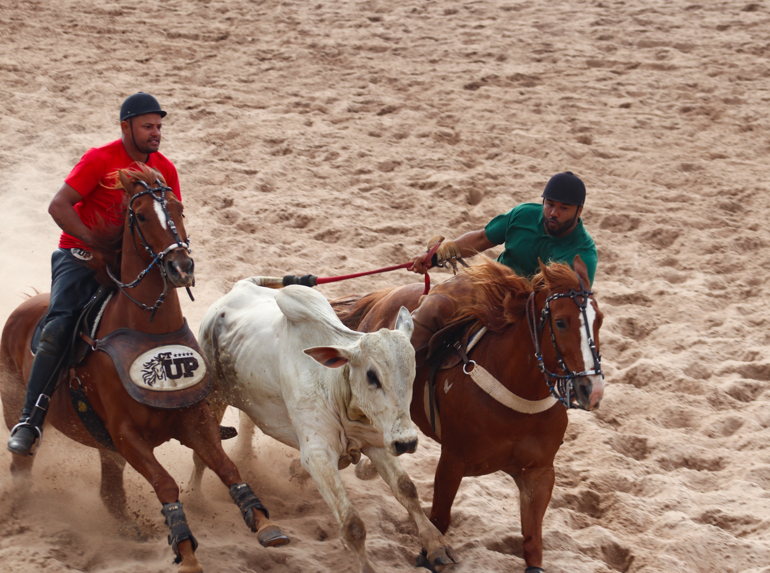 Tradição e participação popular marcam a Feira Agropecuária de Morro do Chapéu